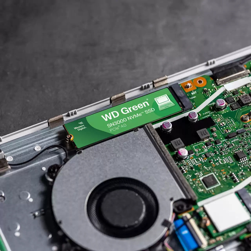 718037904634 SSD WESTERN DIGITAL GREEN SN3000 500GB M.2 NVME 4100 MBS ESCRITURA 500 MBS LECTURA PCI EXPRESS 4.0